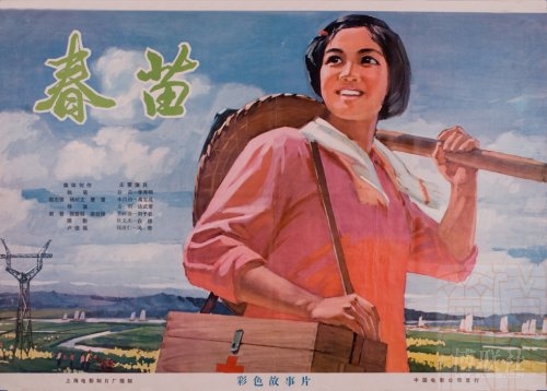 別府大学短期大学課Diploma in Public Administration